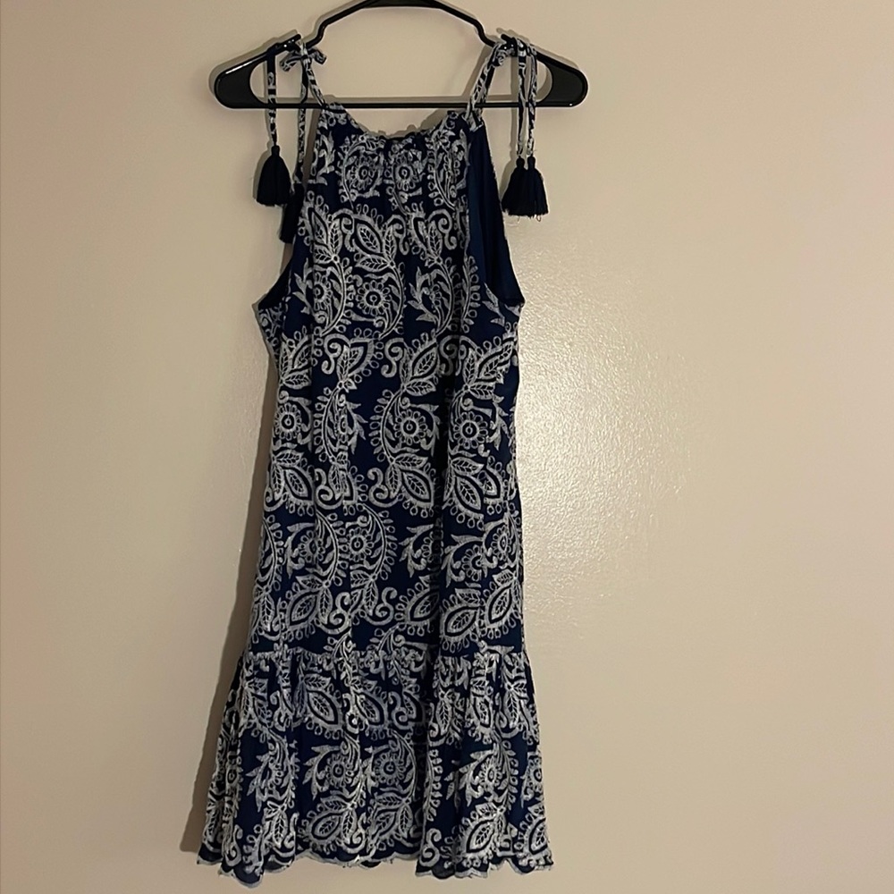 10 Taylor Blue and White Embroidered Dress